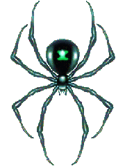 Araignee