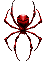 Araignee