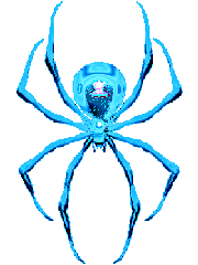Araignee