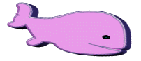 baleine