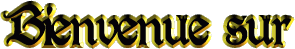 Bienvenue