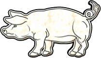Cochons