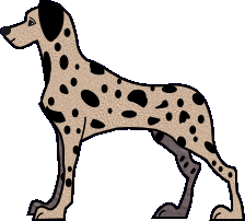 dalmatien