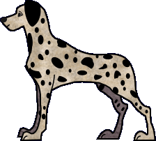dalmatien