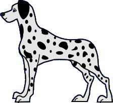 dalmatien