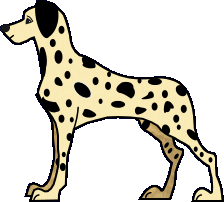 dalmatien