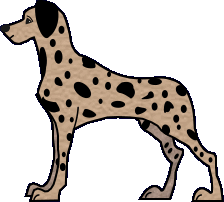 dalmatien