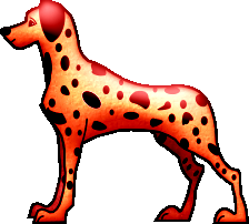 dalmatien