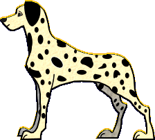 dalmatien