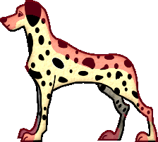 dalmatien