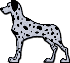 dalmatien