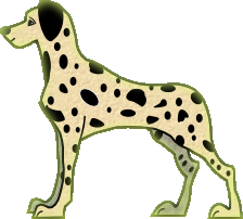 dalmatien