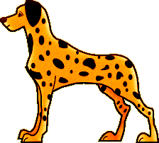 dalmatien
