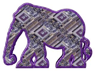 Élephants