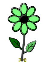 Fleurs