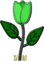 Fleurs