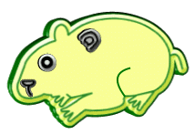 hamsters