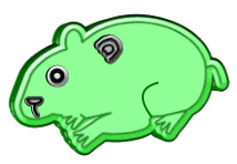 hamsters