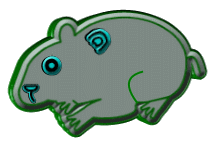 hamsters