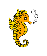 Hippocampes