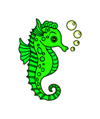 Hippocampes