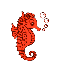Hippocampes