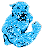 Jaguars