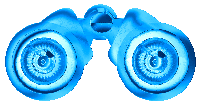 Jumelle