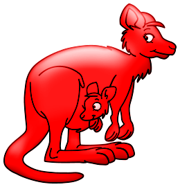 Kangourous