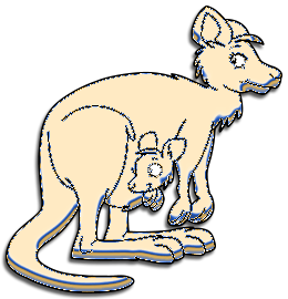 Kangourous