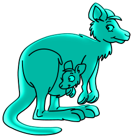 Kangourous