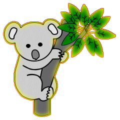 Koalas