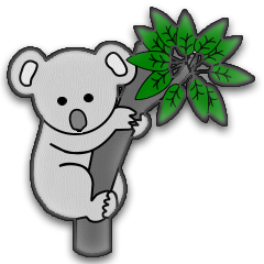 Koalas