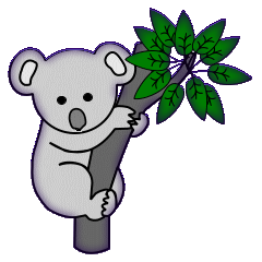Koalas