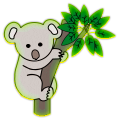 Koalas