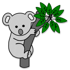Koalas