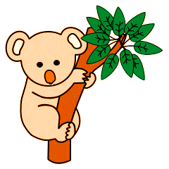 Koalas