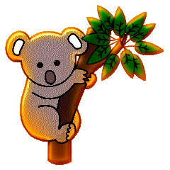 Koalas