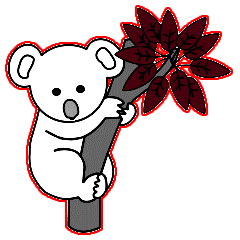 Koalas
