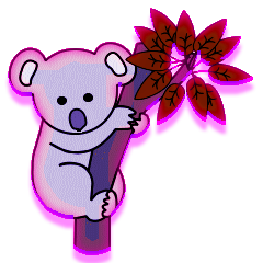 Koalas