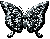 Papillons