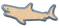 requins