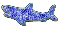 requins