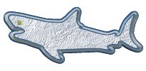 requins
