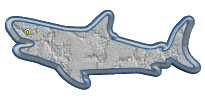 requins