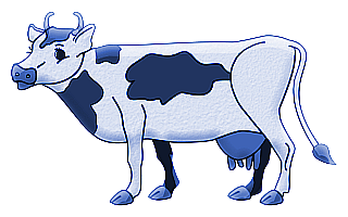 vaches