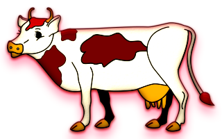 vaches