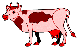 vaches
