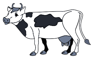 vaches