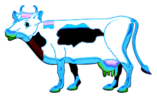 vaches